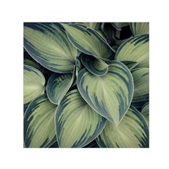 Closeup Photo Of Green Variegated Leaf Plants Small Satin Scarf (square) by Pakrebo