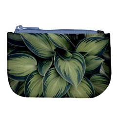 Closeup Photo Of Green Variegated Leaf Plants Large Coin Purse