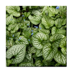 Green And White Leaf Plant Tile Coasters by Pakrebo