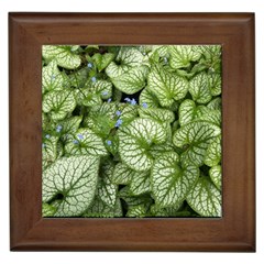 Green And White Leaf Plant Framed Tiles by Pakrebo