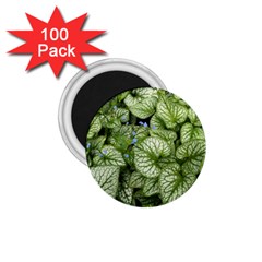 Green And White Leaf Plant 1 75  Magnets (100 Pack)  by Pakrebo