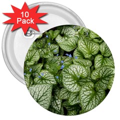 Green And White Leaf Plant 3  Buttons (10 Pack)  by Pakrebo