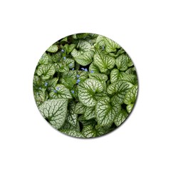 Green And White Leaf Plant Rubber Round Coaster (4 Pack)  by Pakrebo