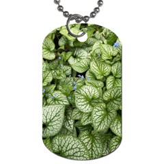 Green And White Leaf Plant Dog Tag (two Sides) by Pakrebo