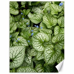 Green And White Leaf Plant Canvas 18  X 24  by Pakrebo