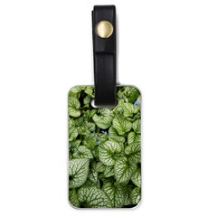 Green And White Leaf Plant Luggage Tag (one Side) by Pakrebo