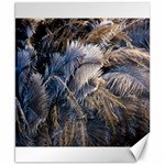 Dried Leafed Plants Canvas 8  x 10  8.15 x9.66  Canvas - 1