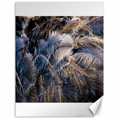 Dried Leafed Plants Canvas 12  X 16  by Pakrebo