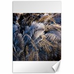 Dried Leafed Plants Canvas 20  x 30  19.62 x28.9  Canvas - 1