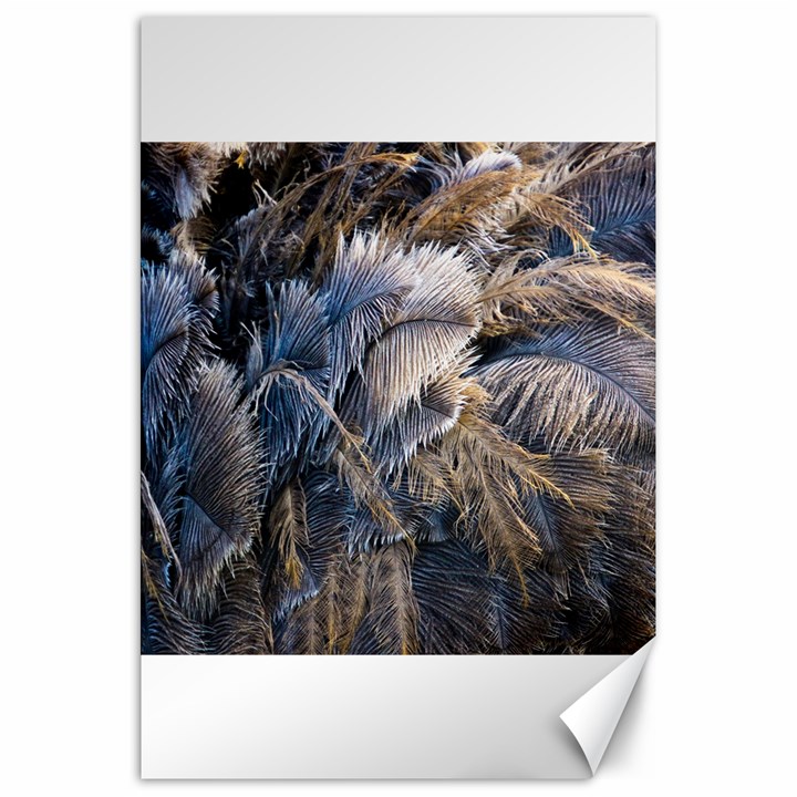 Dried Leafed Plants Canvas 20  x 30 