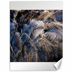 Dried Leafed Plants Canvas 36  X 48  by Pakrebo