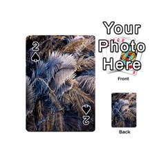 Dried Leafed Plants Playing Cards 54 Designs (mini)