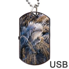 Dried Leafed Plants Dog Tag Usb Flash (two Sides) by Pakrebo