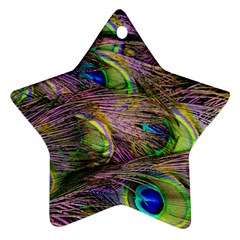 Green Purple And Blue Peacock Feather Digital Wallpaper Ornament (star) by Pakrebo