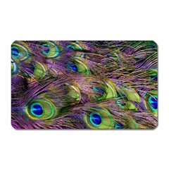 Green Purple And Blue Peacock Feather Digital Wallpaper Magnet (rectangular) by Pakrebo