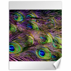 Green Purple And Blue Peacock Feather Digital Wallpaper Canvas 12  X 16  by Pakrebo