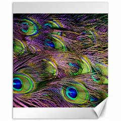 Green Purple And Blue Peacock Feather Digital Wallpaper Canvas 16  X 20  by Pakrebo