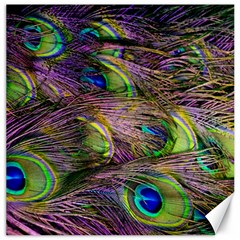 Green Purple And Blue Peacock Feather Digital Wallpaper Canvas 20  X 20  by Pakrebo