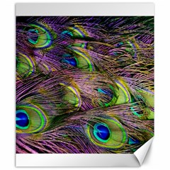 Green Purple And Blue Peacock Feather Digital Wallpaper Canvas 20  X 24  by Pakrebo