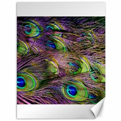 Green Purple And Blue Peacock Feather Digital Wallpaper Canvas 36  X 48  by Pakrebo