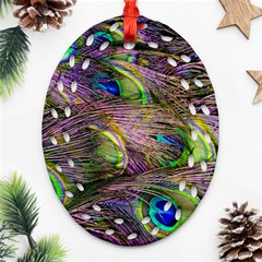 Green Purple And Blue Peacock Feather Digital Wallpaper Ornament (oval Filigree) by Pakrebo