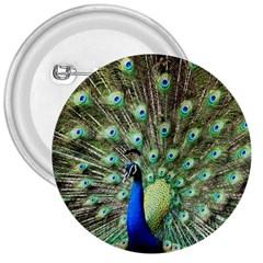 Blue And Green Peacock 3  Buttons by Pakrebo