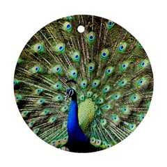 Blue And Green Peacock Ornament (round) by Pakrebo