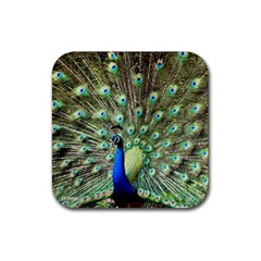 Blue And Green Peacock Rubber Coaster (square)  by Pakrebo