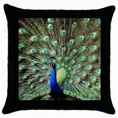 Blue And Green Peacock Throw Pillow Case (black) by Pakrebo