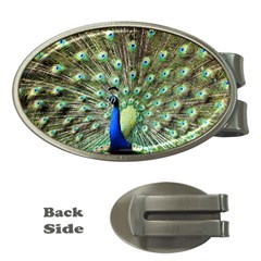 Blue And Green Peacock Money Clips (oval) 