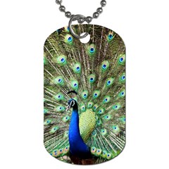 Blue And Green Peacock Dog Tag (two Sides) by Pakrebo