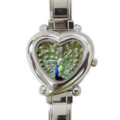 Blue And Green Peacock Heart Italian Charm Watch by Pakrebo