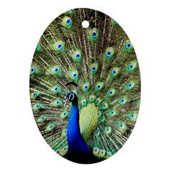 Blue And Green Peacock Oval Ornament (two Sides) by Pakrebo