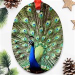 Blue And Green Peacock Oval Ornament (Two Sides) Front