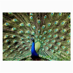 Blue And Green Peacock Large Glasses Cloth by Pakrebo