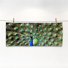 Blue And Green Peacock Hand Towel by Pakrebo