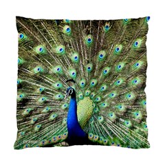 Blue And Green Peacock Standard Cushion Case (one Side) by Pakrebo