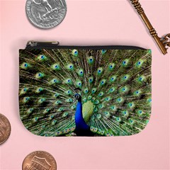 Blue And Green Peacock Mini Coin Purse by Pakrebo