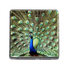 Blue And Green Peacock Memory Card Reader (square 5 Slot) by Pakrebo