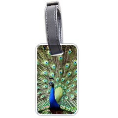 Blue And Green Peacock Luggage Tag (one Side) by Pakrebo