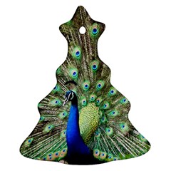 Blue And Green Peacock Ornament (christmas Tree)  by Pakrebo