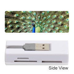 Blue And Green Peacock Memory Card Reader (stick) by Pakrebo