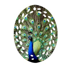 Blue And Green Peacock Ornament (oval Filigree) by Pakrebo