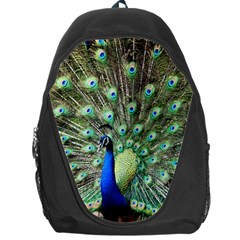 Blue And Green Peacock Backpack Bag by Pakrebo