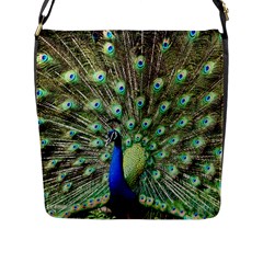 Blue And Green Peacock Flap Closure Messenger Bag (l) by Pakrebo