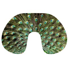 Blue And Green Peacock Travel Neck Pillow by Pakrebo