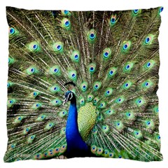 Blue And Green Peacock Standard Flano Cushion Case (one Side) by Pakrebo