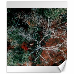 Aerial Photography Of Green Leafed Tree Canvas 8  X 10  by Pakrebo