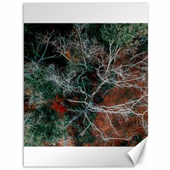 Aerial Photography Of Green Leafed Tree Canvas 36  X 48  by Pakrebo