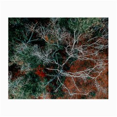 Aerial Photography Of Green Leafed Tree Small Glasses Cloth (2 Sides) by Pakrebo